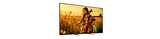 65" BRAVIA 5 | XR Processor | Mini LED | 4K Ultra HD | High Dynamic Range (HDR) | Smart TV (Google TV) 4