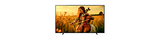 65" BRAVIA 5 | XR Processor | Mini LED | 4K Ultra HD | High Dynamic Range (HDR) | Smart TV (Google TV) 13