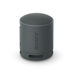 XB100 Portable Wireless Speaker