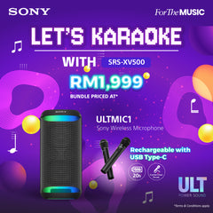 XV500 & ULT MIC Special Bundle