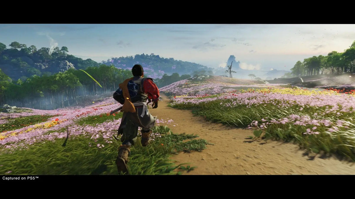 SONY - ＰＳ５　Ghost of Tsushima DIRECTOR’S CUT Amazon.com: SONY PS5 GHOST OF TSUSHIMA DIRECTOR'S CUT- PS5
